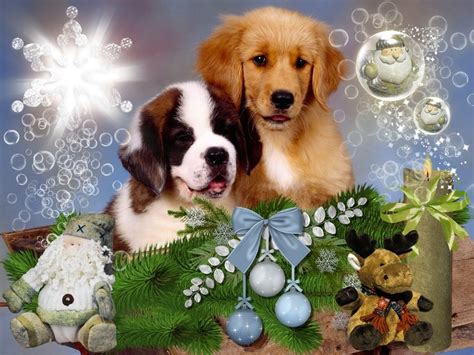 Golden Retriever Christmas Wallpaper - WallpaperSafari