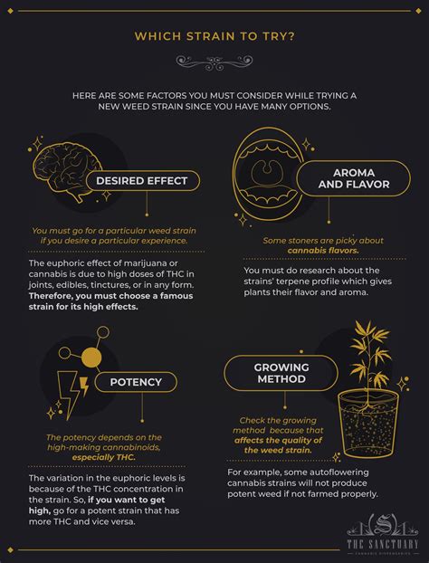 How Many Weed Strains Are There? Learn Everything Here! - The Sanctuary