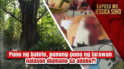 Puno Ng Balete Punong Puno Ng Larawan At Pangalan Na Diumano