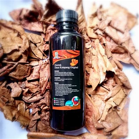 Jual Ekstrak Daun Ketapang Laut Original 250 Ml Murah Shopee Indonesia