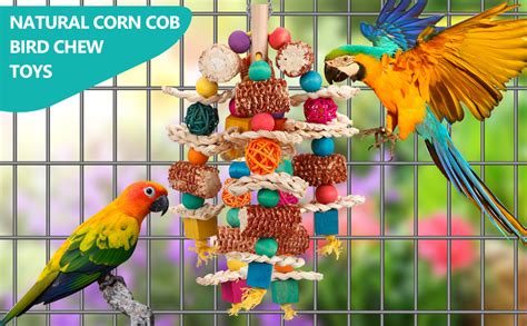 Amazon Lovyococo Parrot Toys Bird Toys Natural Corn Cob Bird Chew