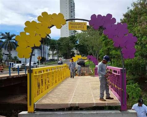 tons de roxo e amarelo Campo Grande ganha Passarela dos Ipês