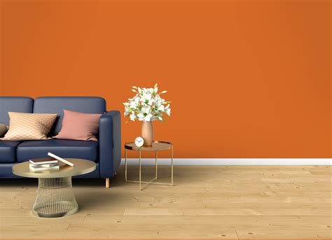 Accent Orange Jsw Paints