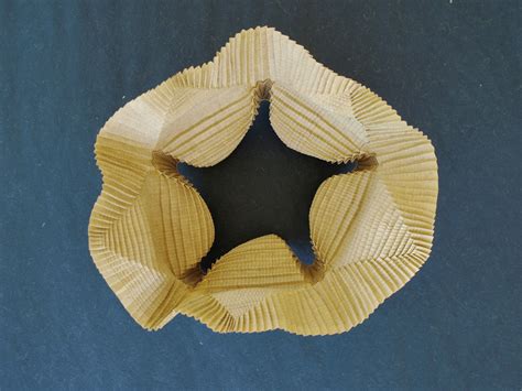 Organic Origami Gallery Pleat Tessellations Complex Surfaces