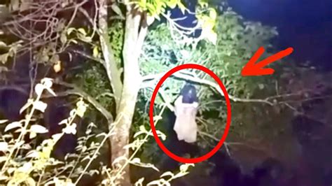 12 PINAKA NAKAKATAKOT NA NILALANG NA NAKUHANAN NG VIDEO Aswang Sa