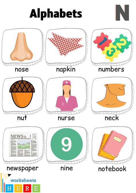 Alphabet N Words With Pictures Letter N Vocabulary With Pictures