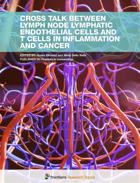 Cross Talk Between Lymph Node Lymphatic Endothelial Cells And T Cells