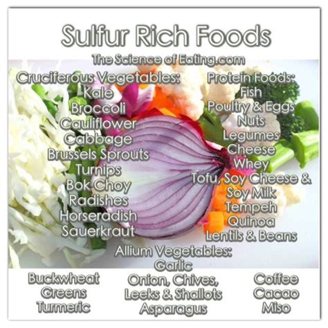 sulfur rich foods - Sincere Focus