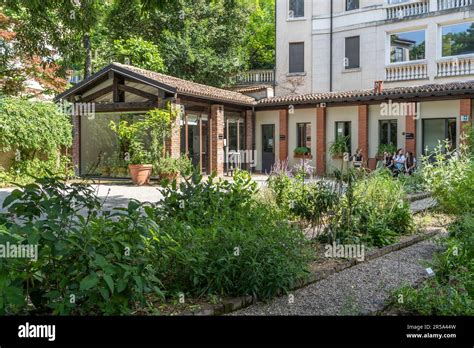 Plants And Trees In The Botanical Garden Of Brera In Italian Orto