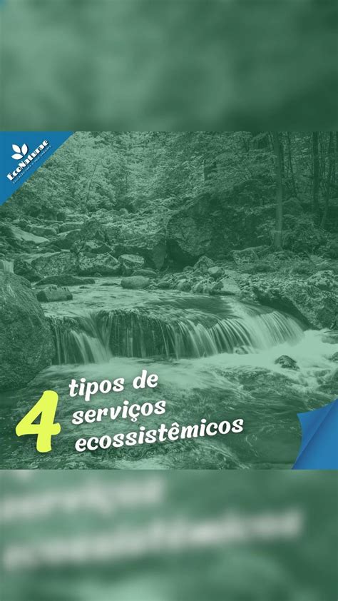 Tipos De Servi Os Ecossist Micos