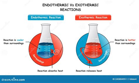 Reações Endotérmicas E Exotérmicas Exercícios - Reações Endotérmicas E Exotérmicas Exercícios - FDPLEARN