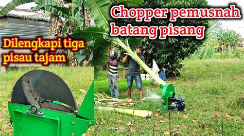 Spesialis Mesin Cacah Gedebog Batang Pisang Super Cepat Ton Perjam