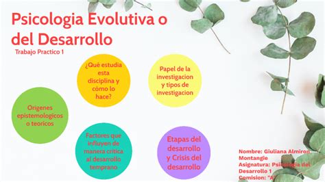 Psicologia Evolutiva O Del Desarrollo By Giuliana Almiron