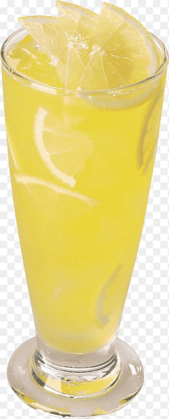 Filled Lemonade Juice Lemon Balm Extract Fruit Lemon Juice Dried