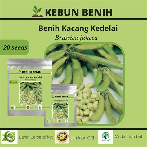 Jual 20 Benih Kacang Kedelai Lokal Benih Edamame Kualitas Unggul