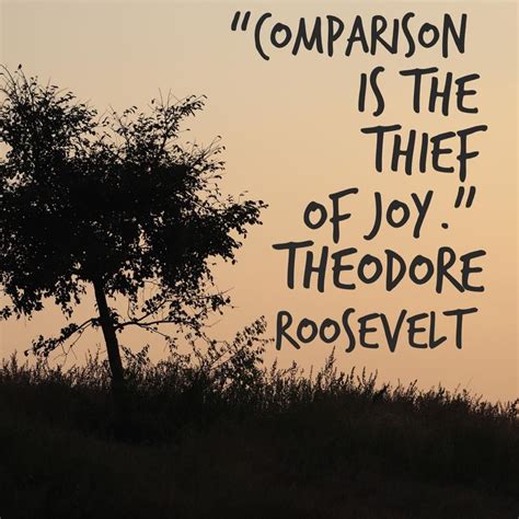 Comparison Is The Thief Of Joy Theodore Roosevelt Joy Inspiration Theodore Roosevelt