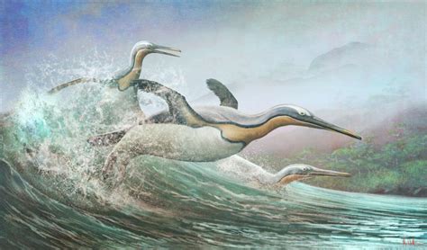 Kumimanu biceae, a giant penguin from the Late Palaeocene of New ...