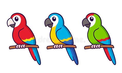 Cute Cartoon Macaw Parrots Drawing Set Cute Cartoon Macaw Parrots