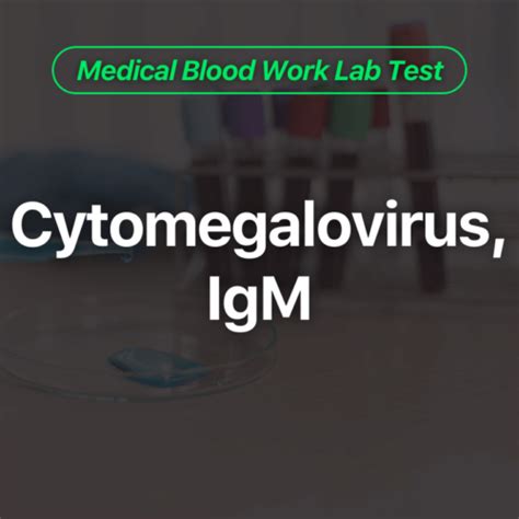 Cytomegalovirus IgM Blood Work Lab Test Wittmer Rejuvenation Clinic