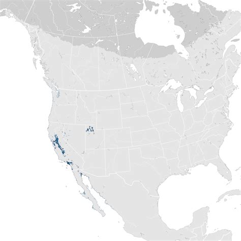 California Gull Abundance Map Non Breeding Ebird Status And Trends