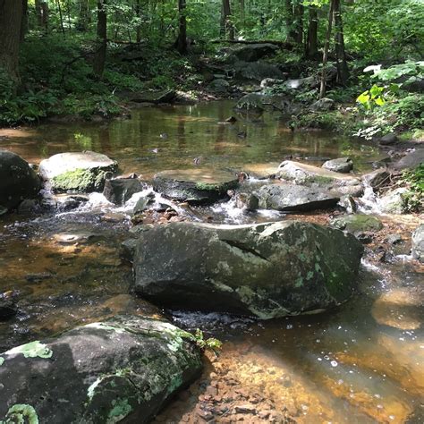 Mill Creek Trail (First Section Up) Multi Trail - Birdsboro