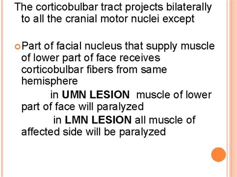 Upper And Lower Motor Neuron Function And Lesion