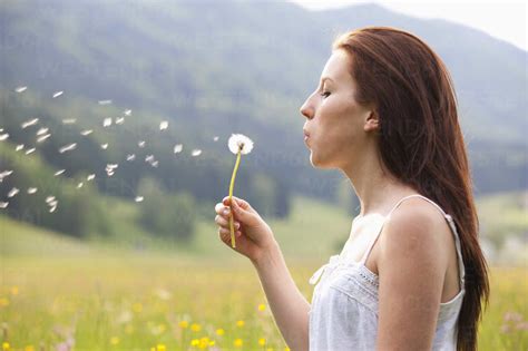 Blowing Dandelion Photography