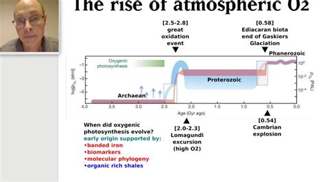 GLGY493 The Great Oxidation Event And Microbial Evolution YouTube