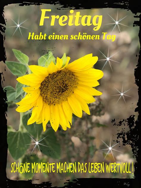 Pin Auf Good Morning Friday Guten Morgen Freitag Freitag Guten