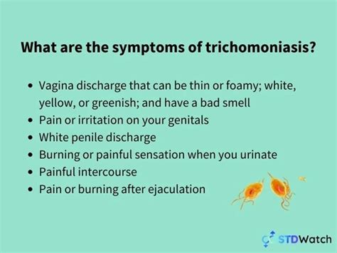 7 Reasons Trichomoniasis Won T Go Away