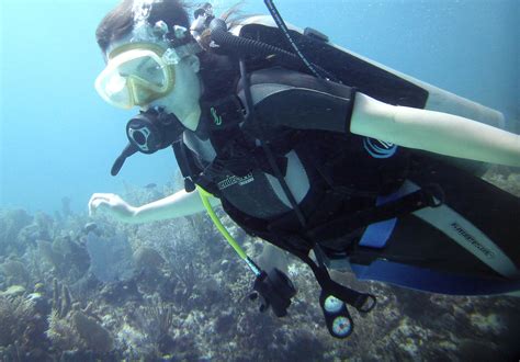 Expediciones de Buceo y Ecoturismo Océano Profundo Cursos de Buceo México