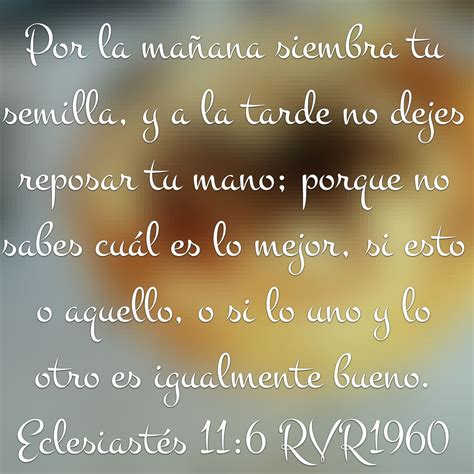 Camino Almacén libertad eclesiastes 11 12 puerta resistirse servilleta