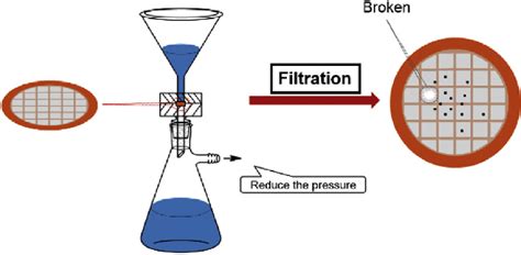 Filtration Process