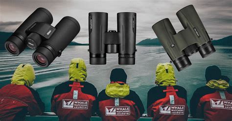 5 Best Binoculars For Whale Watching Of 2024 Whale Watching Binoculars Review