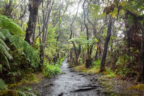 How To Hike The K Lauea Iki Trail In Hawaii Volcanoes National Park