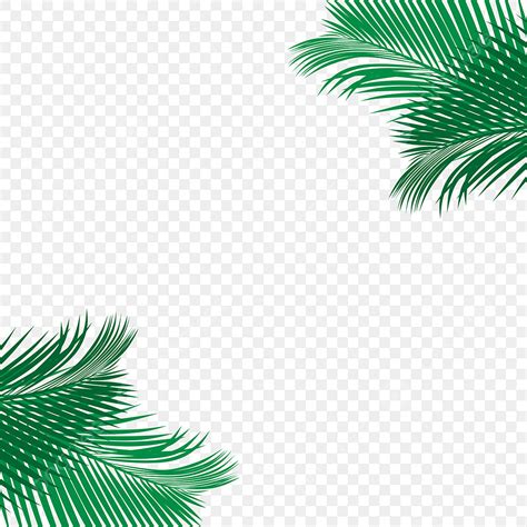 Простой тропический пальмовый лист Png скачать бесплатно PNG , Пальма ...