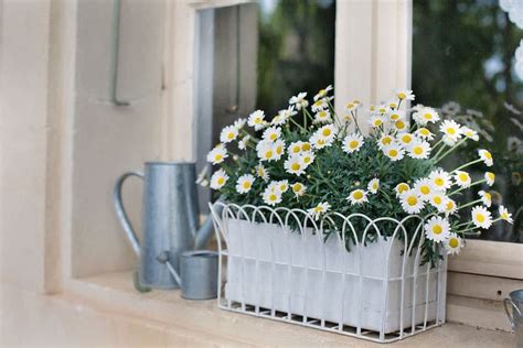 37 Gorgeous Window Flower Boxes With Pictures