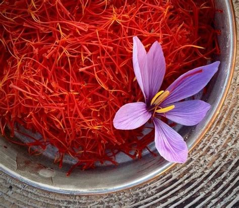 Redleaf Super Negin Iranian Saffron For Food Industry Packaging Type