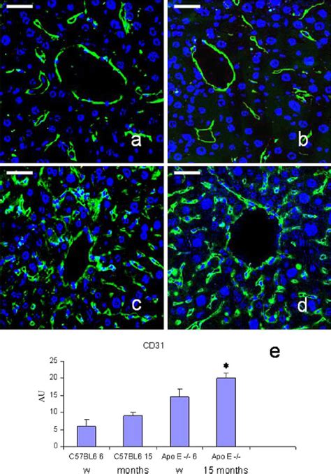 Immunofluorescence Images Of Cd Green Expression In The Liver In