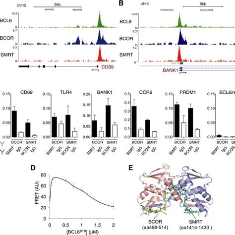 (PDF) A Hybrid Mechanism of Action for BCL6 in B Cells Defined by ...