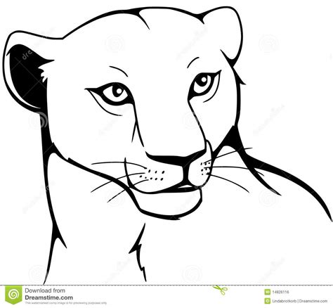 Cougar Clipart Black And White 16 Free Cliparts Download Images On