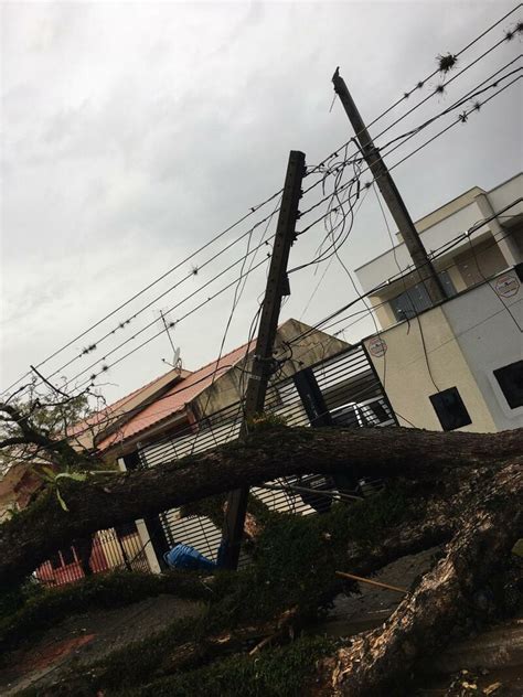 Chuva Derruba Ao Menos Rvores Em Maring Postes Foram Afetados