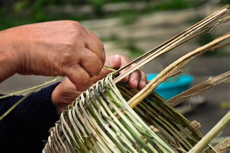 Dsource Design Gallery On Ringal Bamboo Basketry Craft Practice From