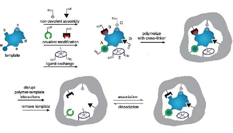 Schematic Representation Of The Molecular Imprinting Polymerization