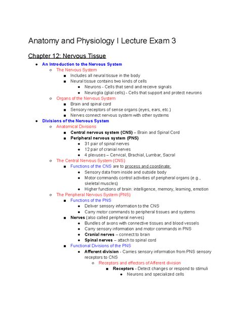 Anatomy And Physiology I Lecture Exam 3 Nerves Connect Nervous