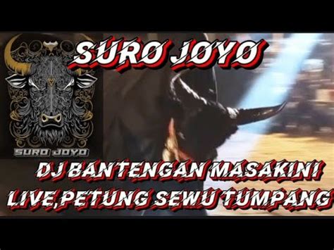 Live Petung Sewu Tumpang Bersama Suro Joyo Perfom Jogetan Dj Bantengan