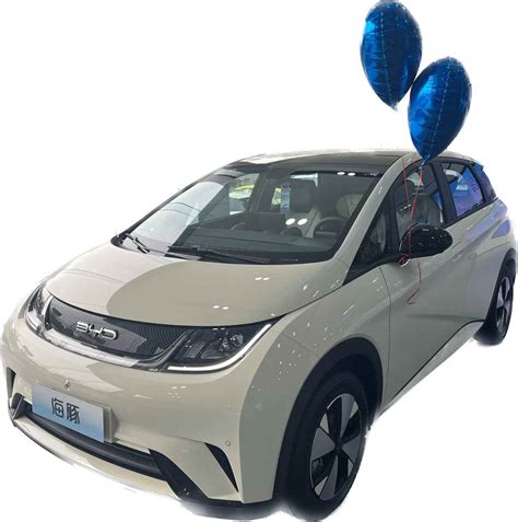 Byd Dolphin Electric Car 2023 Fashion Edition EV Car Byd Dolphin Cost