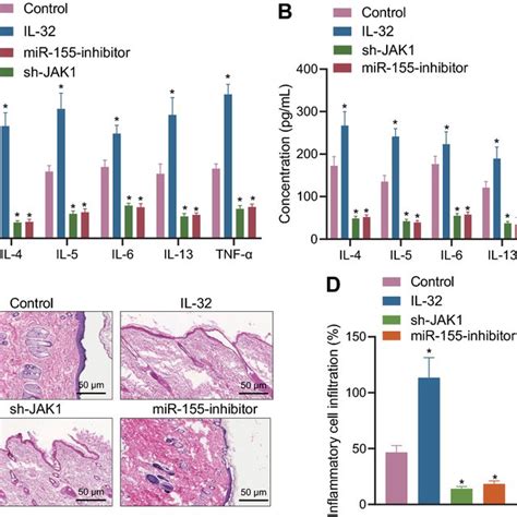 IL 32 JAK1 MiR 155 Axis Regulates Inflammation In AD RHE Model A