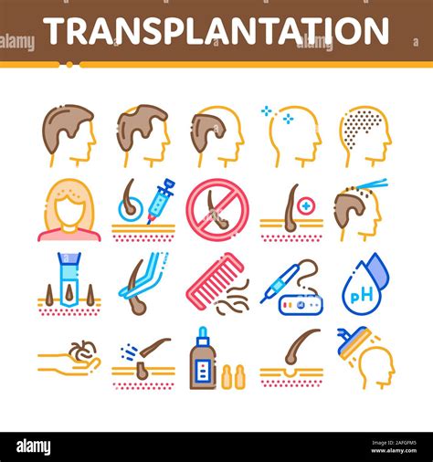 Hair Transplantation Collection Icons Set Vector Stock Vector Image