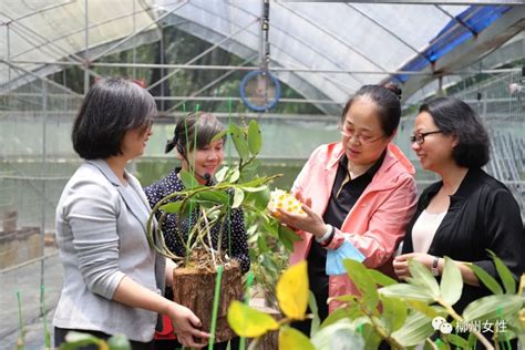 自治区妇联主席刘咏梅来柳调研妇女儿童工作 澎湃号·政务 澎湃新闻 The Paper